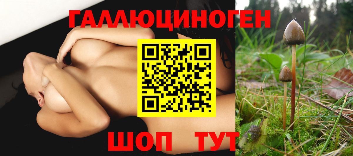 Псилоцибиновые грибы прущие грибы  где продают наркотики  Мирный  Вход с VPN 